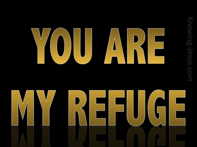 Jeremiah 17:17 You Are My Refuge (gold)